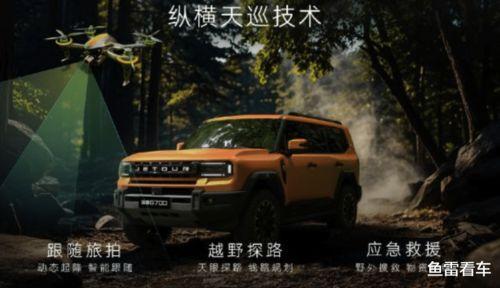 國產另類圖片,探索獨特視覺藝術之美