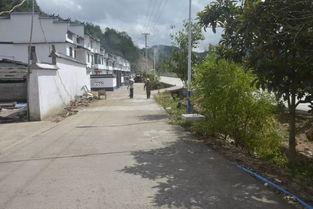 國產(chǎn)三級鄉(xiāng)下,國產(chǎn)三級電影的鄉(xiāng)村畫卷