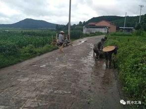 國產(chǎn)三級鄉(xiāng)下,國產(chǎn)三級電影的鄉(xiāng)村畫卷