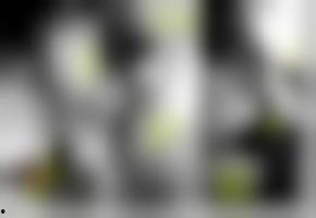 國產(chǎn)亞洲綜合歐美視頻,多元文化交融下的視覺盛宴